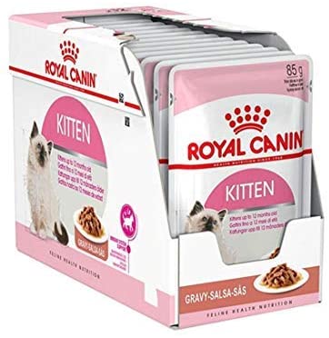 comida humeda para gatos royal canin