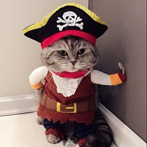 disfraz de pirata halloween mascotas